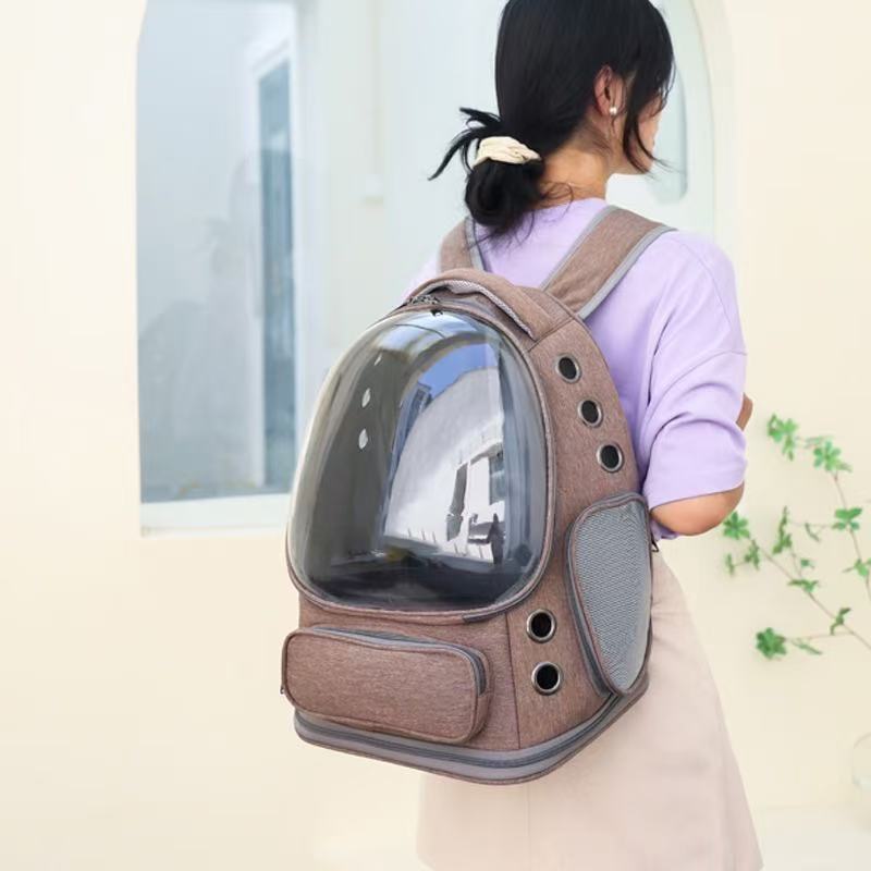 Transparent Pet Carrier Backpack with Ventilation