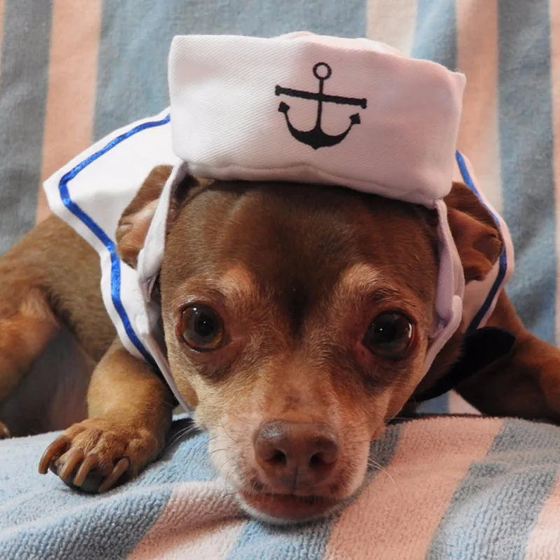 White Sailor Costume for Cats