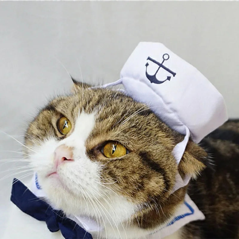 White Sailor Costume for Cats