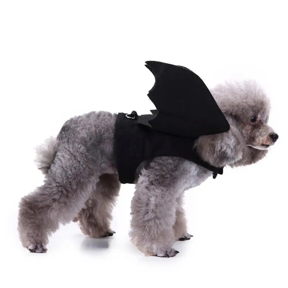Bat Wings Halloween Costume for Dogs