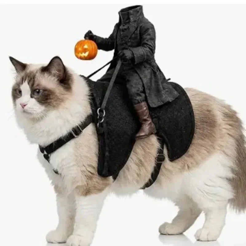 Headless Horseman Halloween Costume for Small Pets