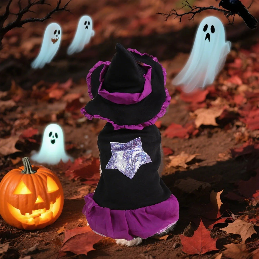 Starry Witch Dress & Hat Halloween Costume for Dogs