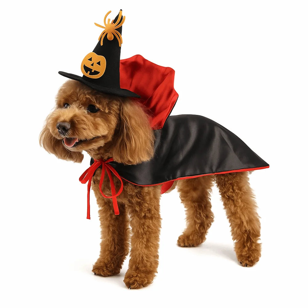 Stand-Collar Halloween Cloak for Cats & Dogs