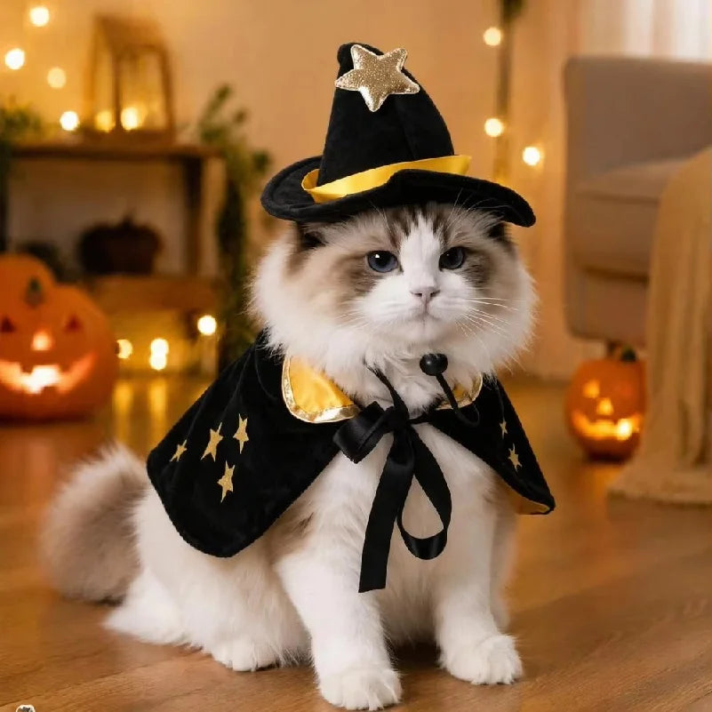 Witch Cape & Hat Halloween Costume for Pets