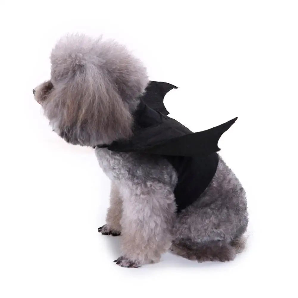 Bat Wings Halloween Costume for Dogs