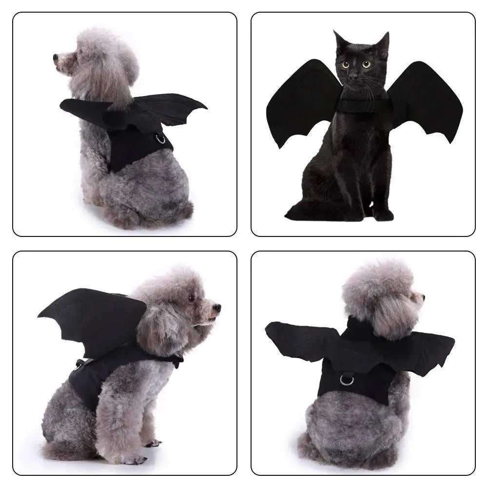 Bat Wings Halloween Costume for Dogs