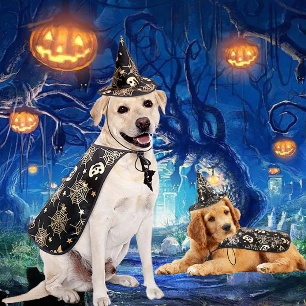 Black Halloween Cloak & Hat Costume for Pets