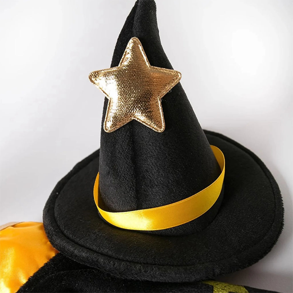 Spider Witch Cape & Hat Halloween Costume for Dogs