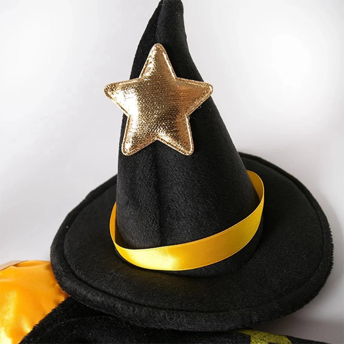 Spider Witch Cape & Hat Halloween Costume for Dogs