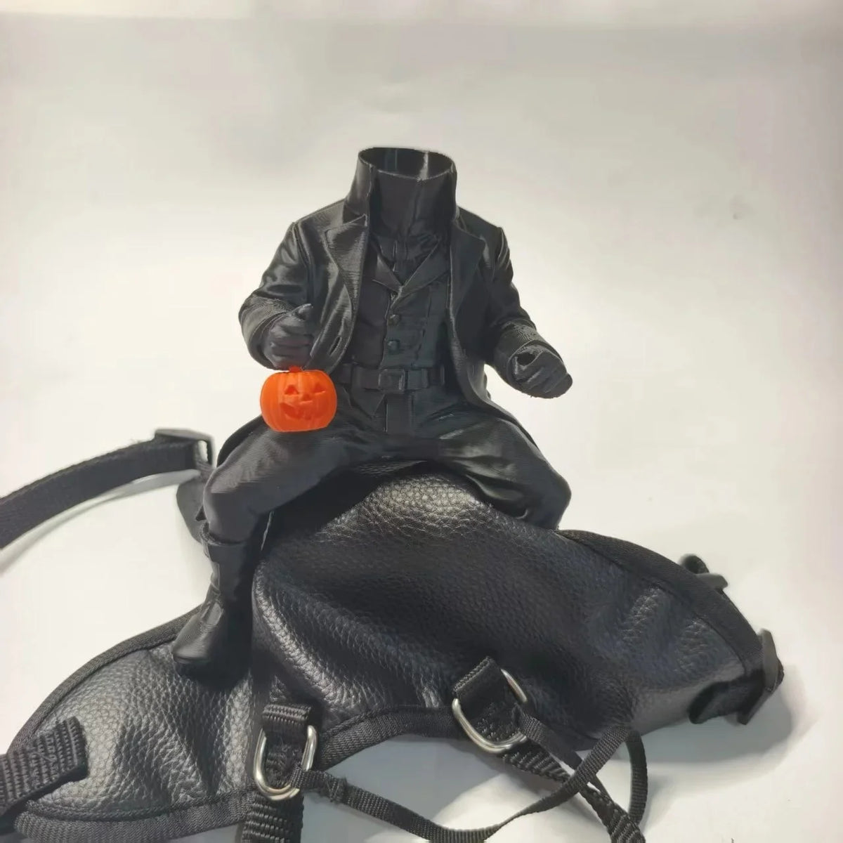 Headless Horseman Halloween Costume for Small Pets