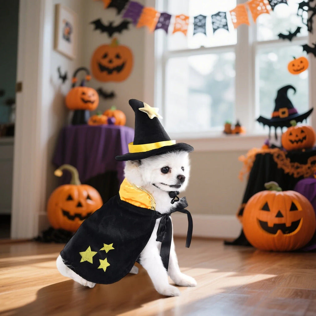 Spider Witch Cape & Hat Halloween Costume for Dogs