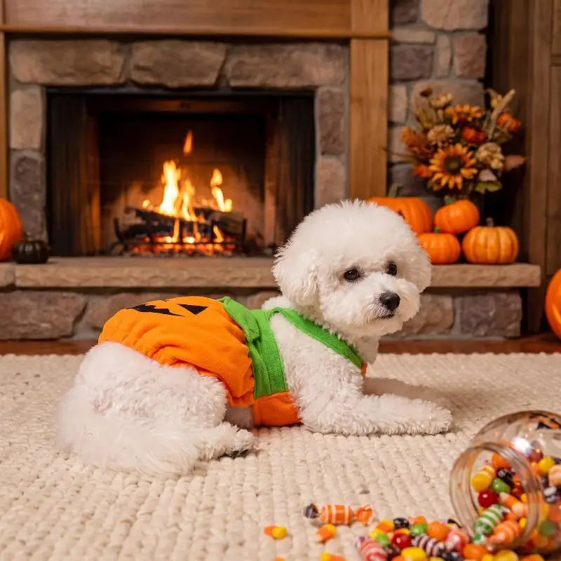 Pumpkin Halloween Costume for Dogs