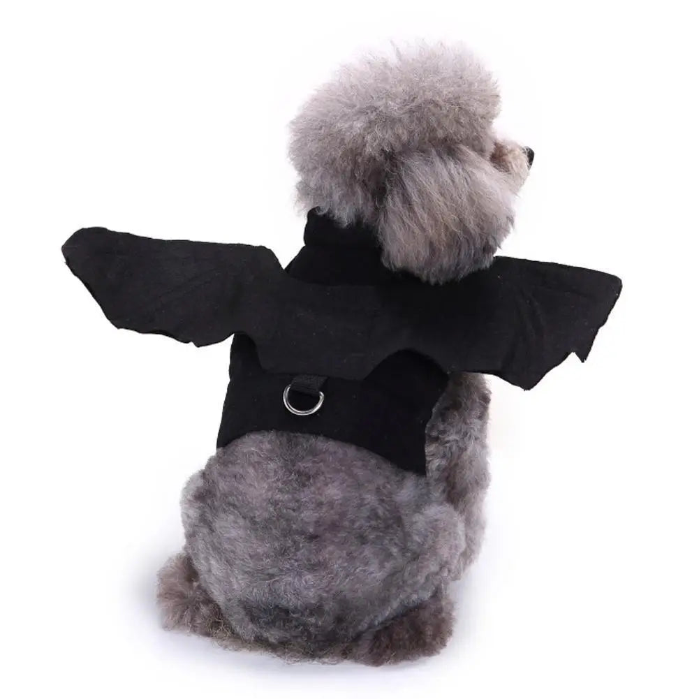 Bat Wings Halloween Costume for Dogs