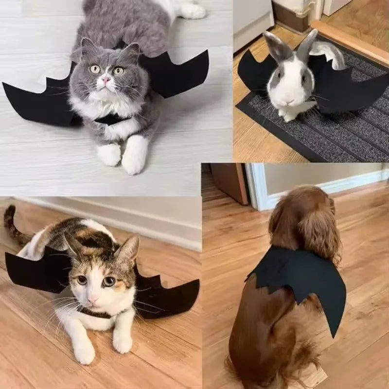 Halloween Bat Costume Accessory Set for Cats