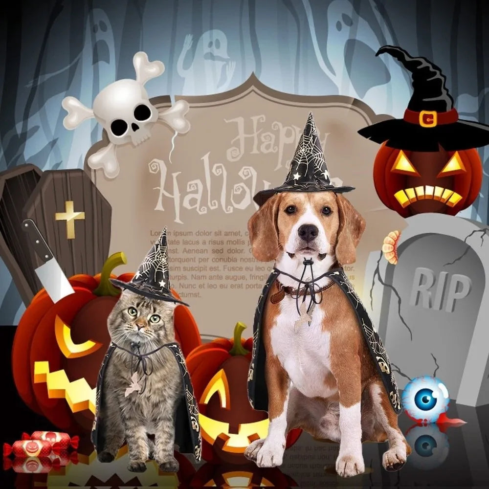 Black Halloween Cloak & Hat Costume for Pets
