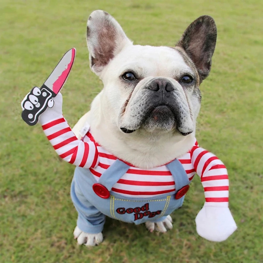 Blue Striped Halloween Costume for Dogs
