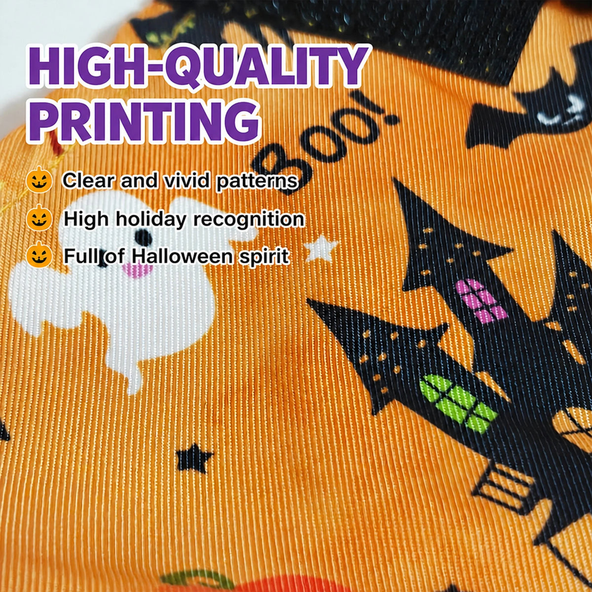 Witch Hat & Printed Halloween Costume for Pets