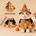 Witch Hat & Printed Halloween Costume for Pets