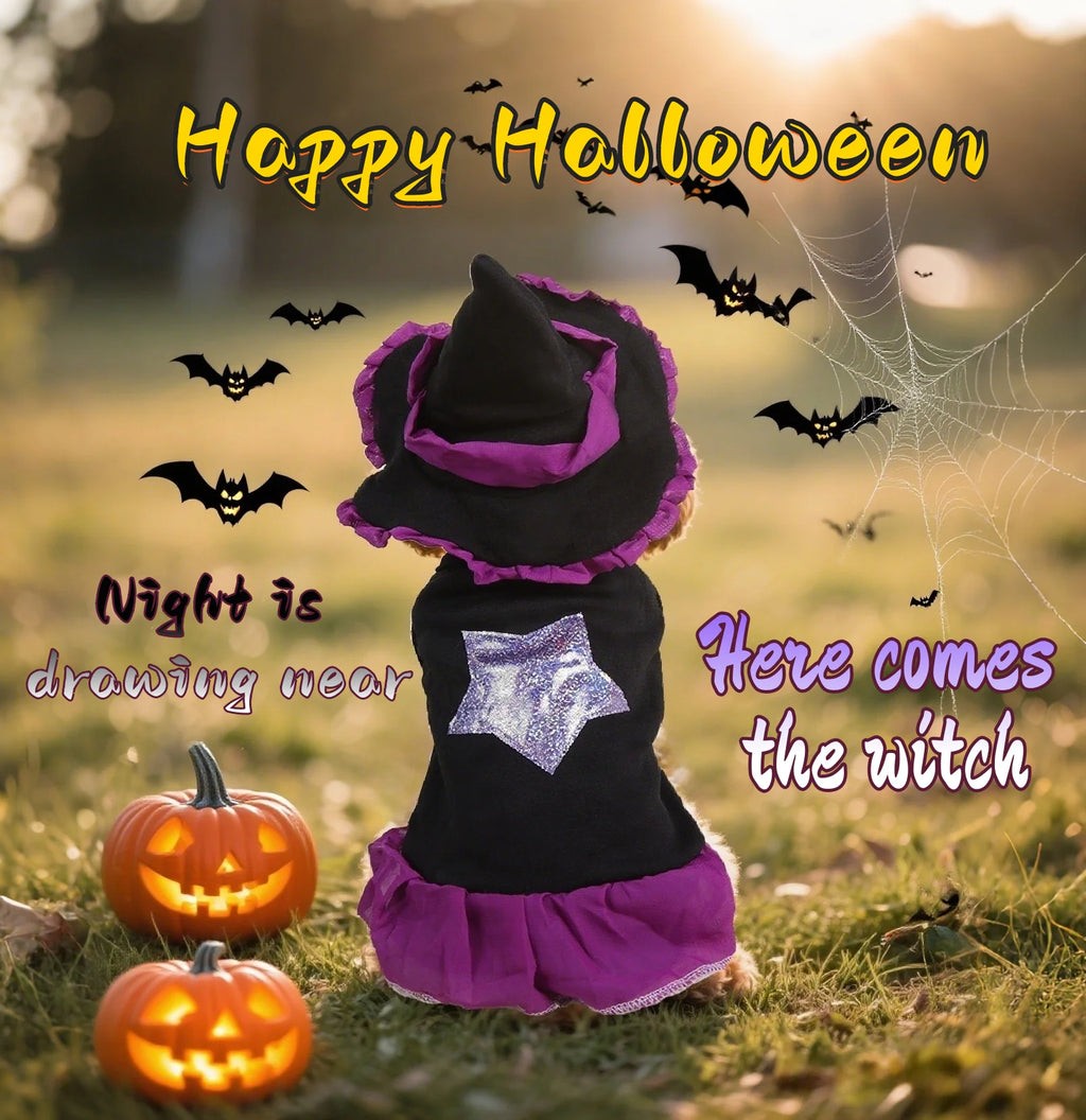 Starry Witch Dress & Hat Halloween Costume for Dogs