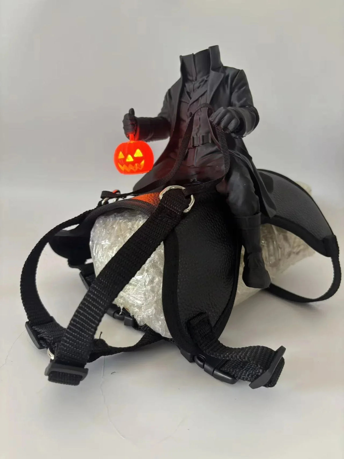 Headless Horseman Halloween Costume for Small Pets