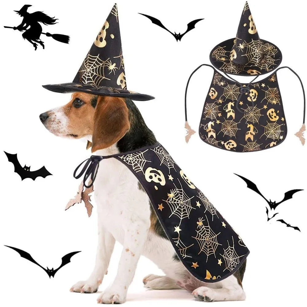 Black Halloween Cloak & Hat Costume for Pets