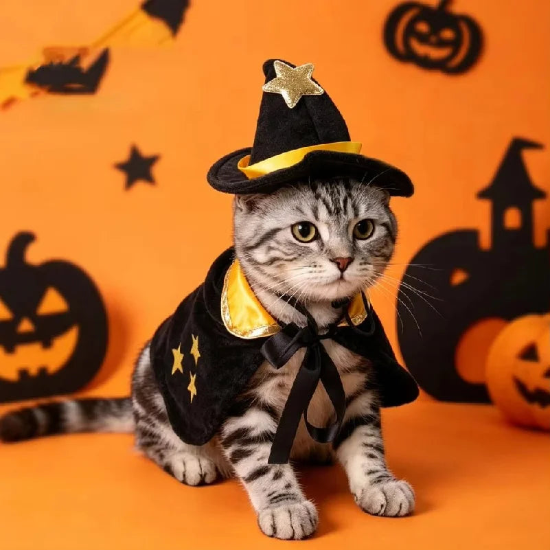 Witch Cape & Hat Halloween Costume for Pets