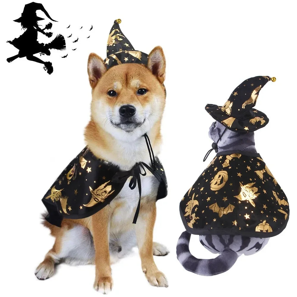 Halloween Wizard Hat or Cloak for Cats & Dogs