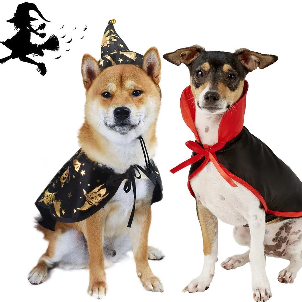 Halloween Wizard Hat or Cloak for Cats & Dogs