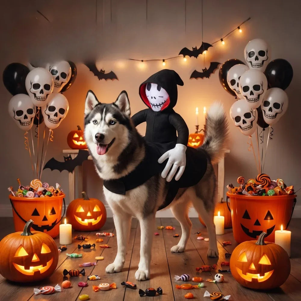 Grim Reaper Rider Halloween Costume for Dogs