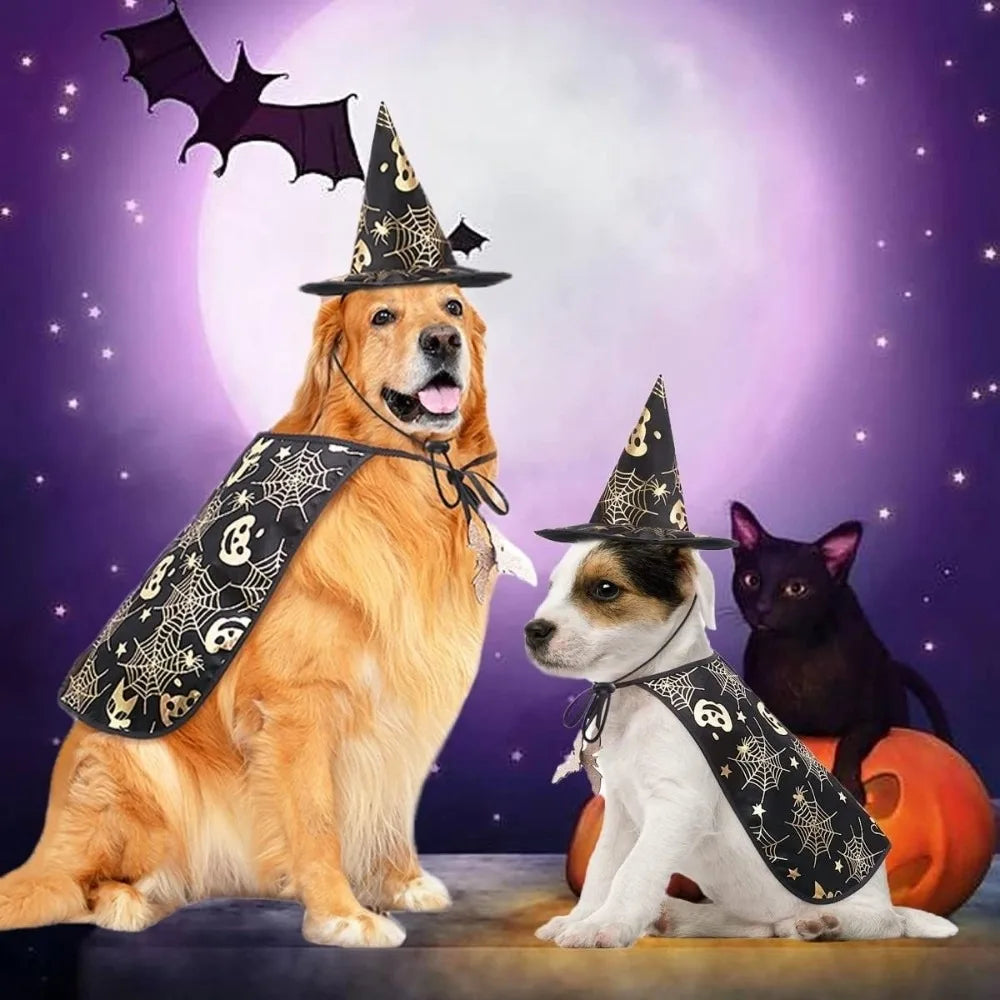 Black Halloween Cloak & Hat Costume for Pets