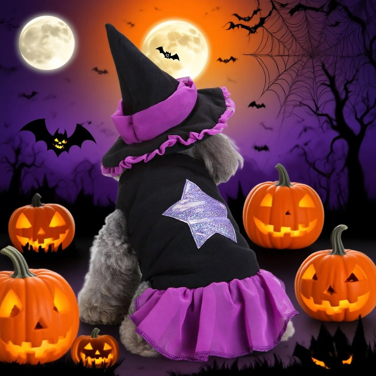 Starry Witch Dress & Hat Halloween Costume for Dogs