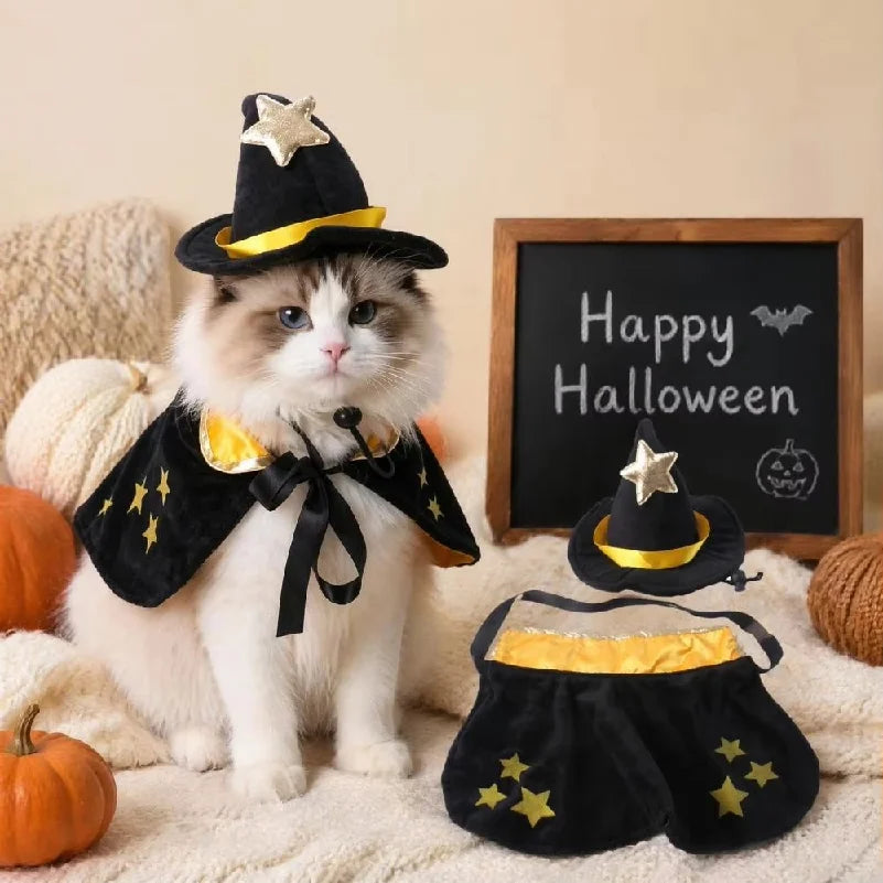Witch Cape & Hat Halloween Costume for Pets