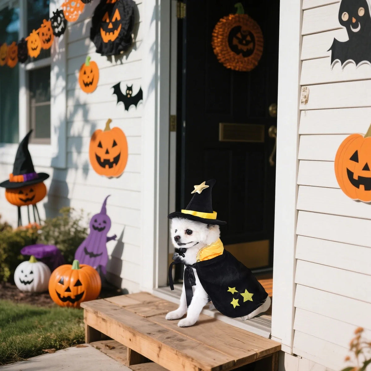 Spider Witch Cape & Hat Halloween Costume for Dogs