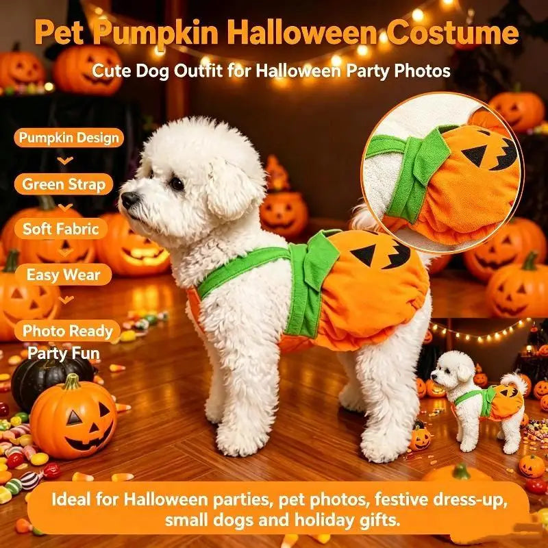 Pumpkin Halloween Costume for Dogs