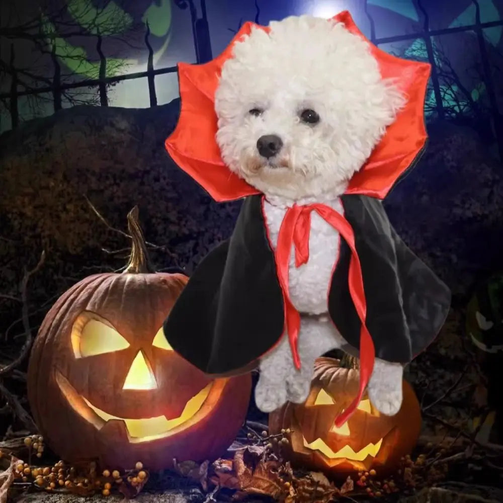 Stand-Collar Halloween Cloak for Cats & Dogs